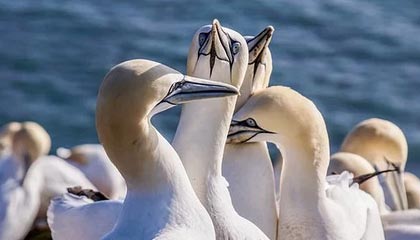 乐鱼体育平台官网-江苏苏宁将挑战天津天海，实力对比胜负如何？，天津天宁苏宁是正式苏宁吗