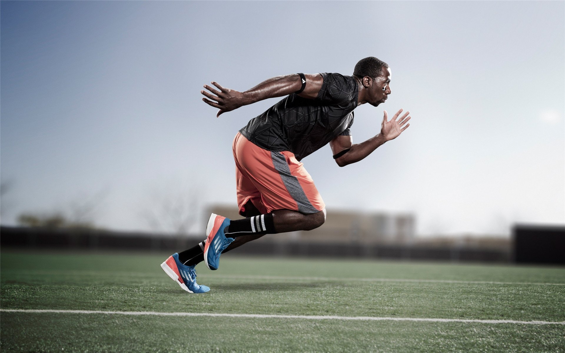 乐鱼体育平台官网-体育新闻中心与高校建立战略合作关系，体育新闻专题报道